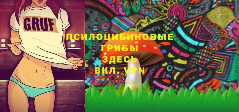 Псилоцибиновые грибы Magic Shrooms  Дрезна 