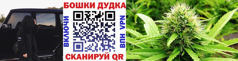 Канабис OG Kush Дрезна